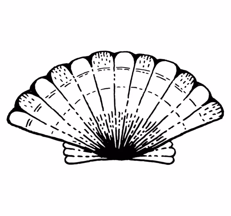 Vinyl Teppich Natur akzent mit muschelmuster - TenStickers