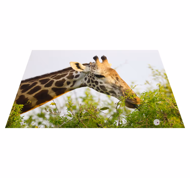 Vinyl Teppich Tiere giraffe isst gemüse - TenStickers