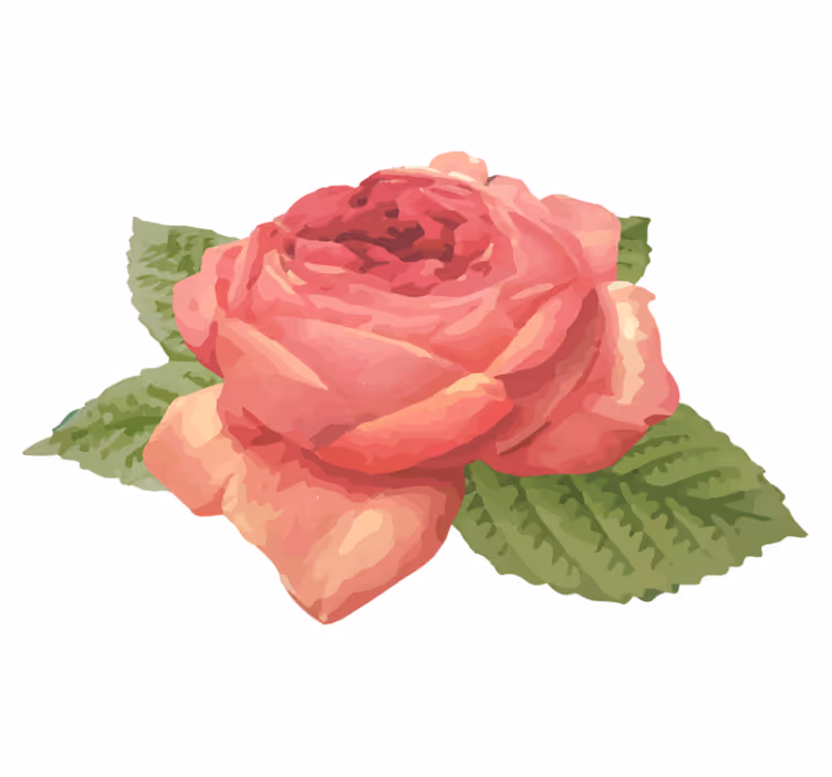 Vinyl Teppich Blumen lebendige rosenblüte - TenStickers
