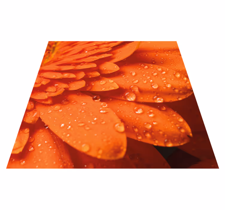 Vinyl Teppich Blumen leuchtend orange blütenblätter - TenStickers