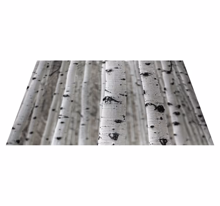 Vinyl Teppich Natur birkenwald - TenStickers