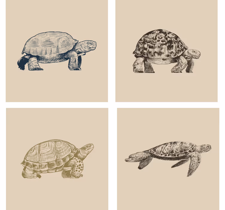 Retro tapete schildkröten auf beigem hintergrund - TenStickers