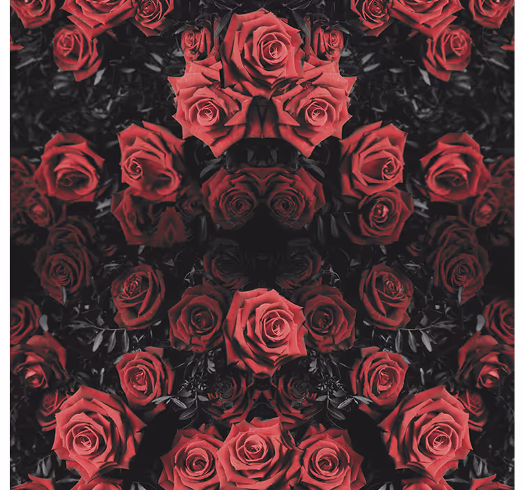 Blumentapete schöne rote rosen - TenStickers