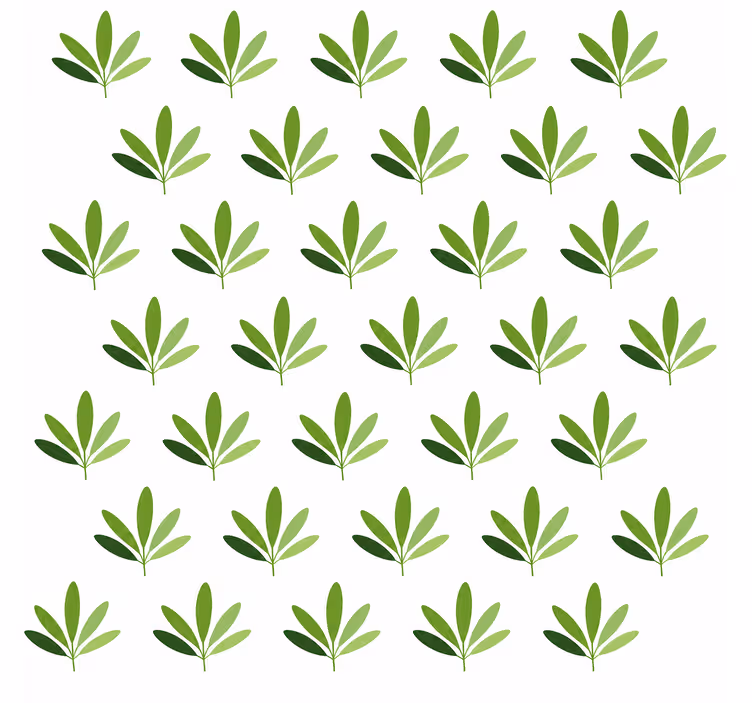 Tapete Natur blätter süße palme - TenStickers