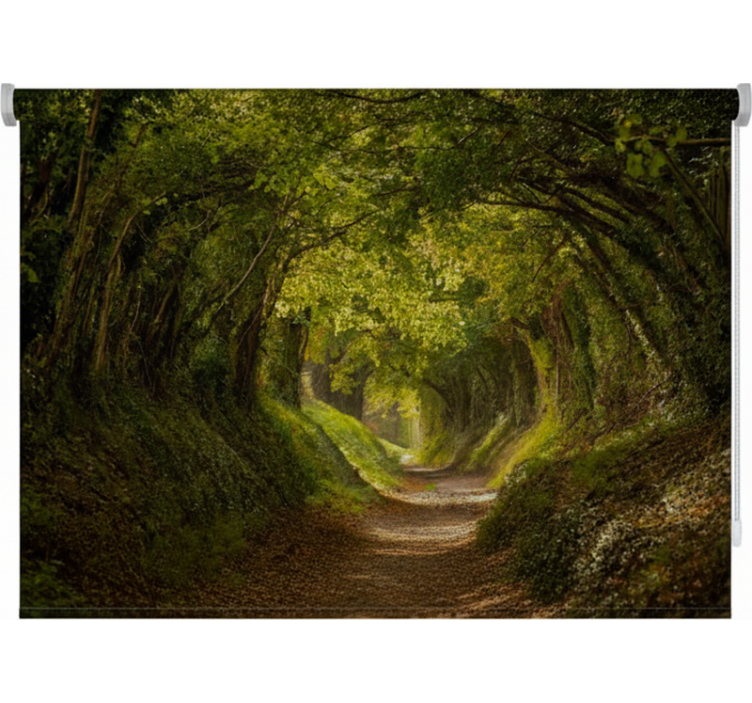 Rollo fenster baum englischer grüner weg - TenStickers