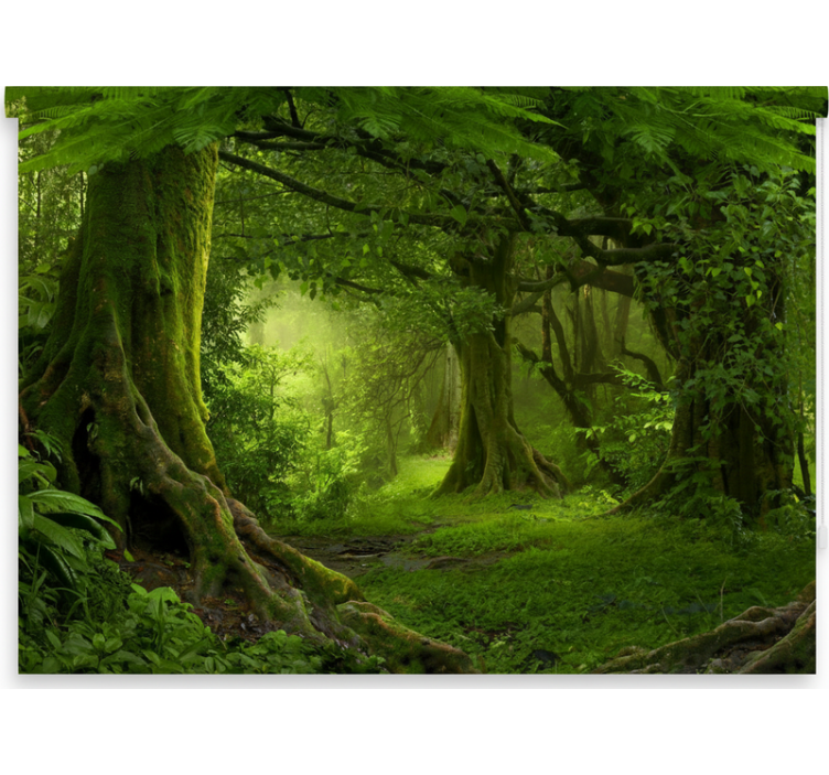 Rollo fenster baum üppige wald-oase - TenStickers