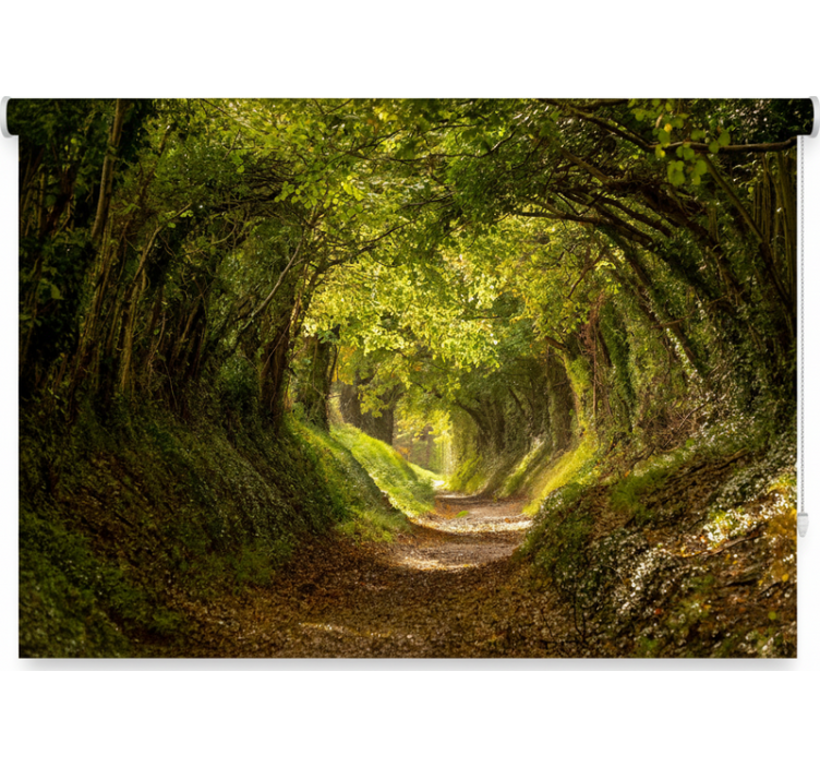 Rollo fenster baum immersives waldmural - TenStickers