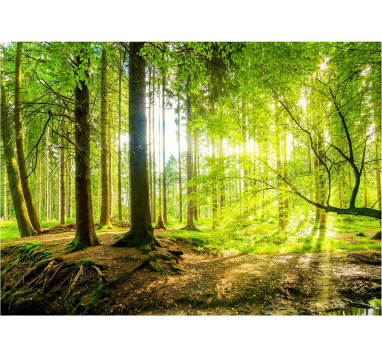 Rollo fenster baum üppiges bergtal - TenStickers