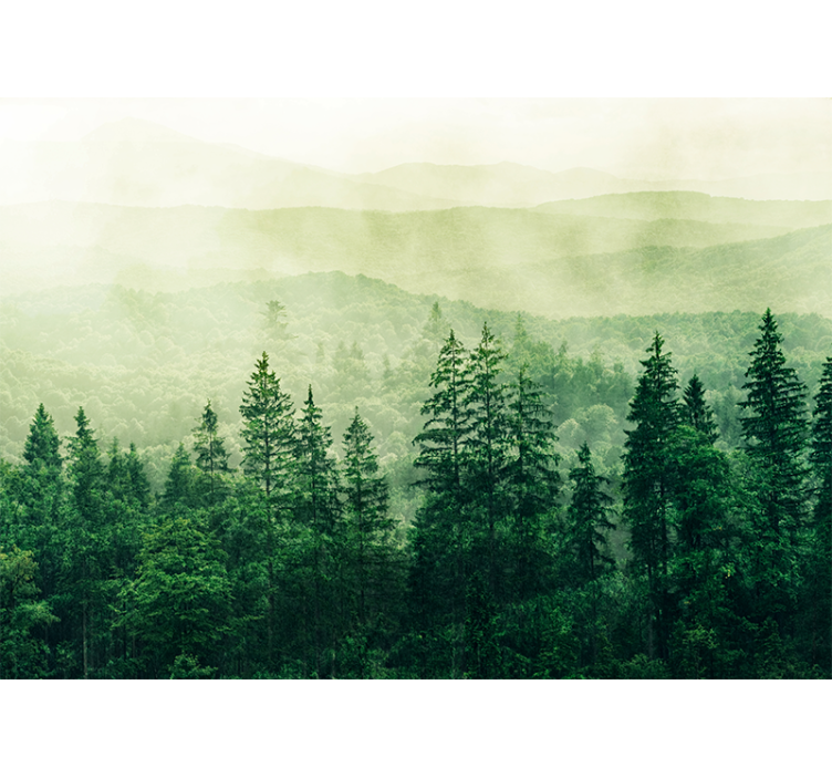 Rollo für küche waldblick von grünen hügeln - TenStickers