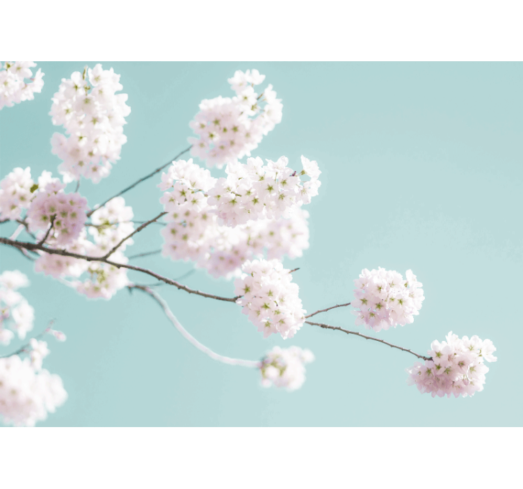 Rollo für küche im eleganten weißen blumendesign - TenStickers