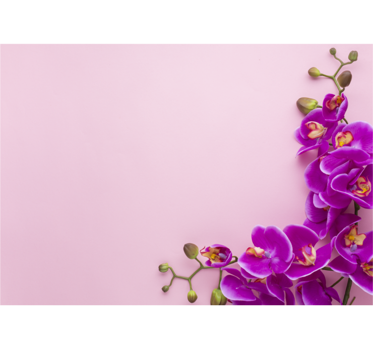 Rollo für küche mit pinkem hintergrund und orchidee - TenStickers