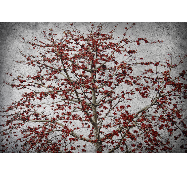 Rollo für küche mit minimalistischem baum und roten blüten - TenStickers