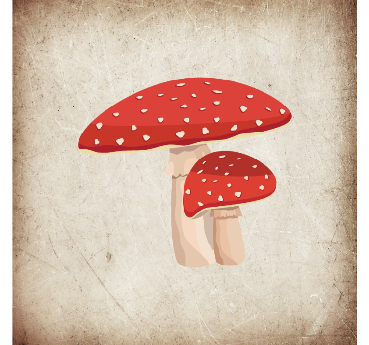 Rollo für küche mit fliegenpilz illustration - TenStickers