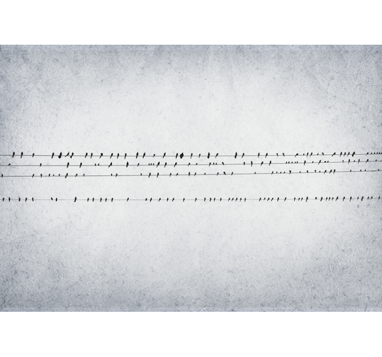 Rollo fenster weiß vogelkonzert auf linien - TenStickers