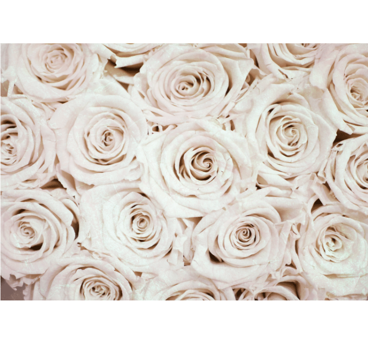 Rollo fenster weiß mit elegantem rosa blumendesign - TenStickers