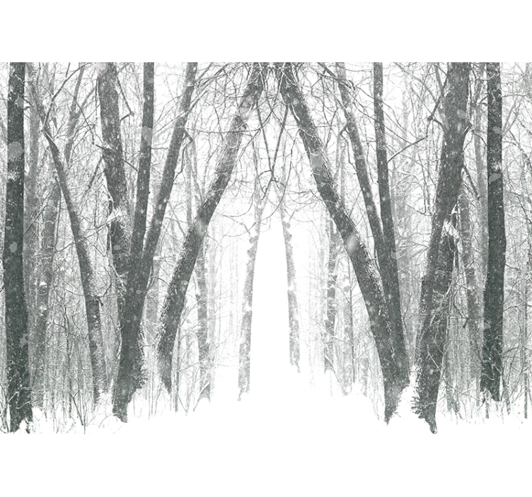 Rollo fenster weiß winterbäume im wald - TenStickers