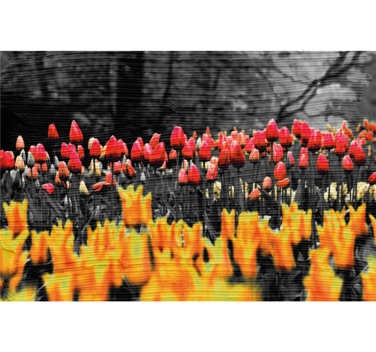 Rollo wohnzimmer verschiedene blumenfelder - TenStickers