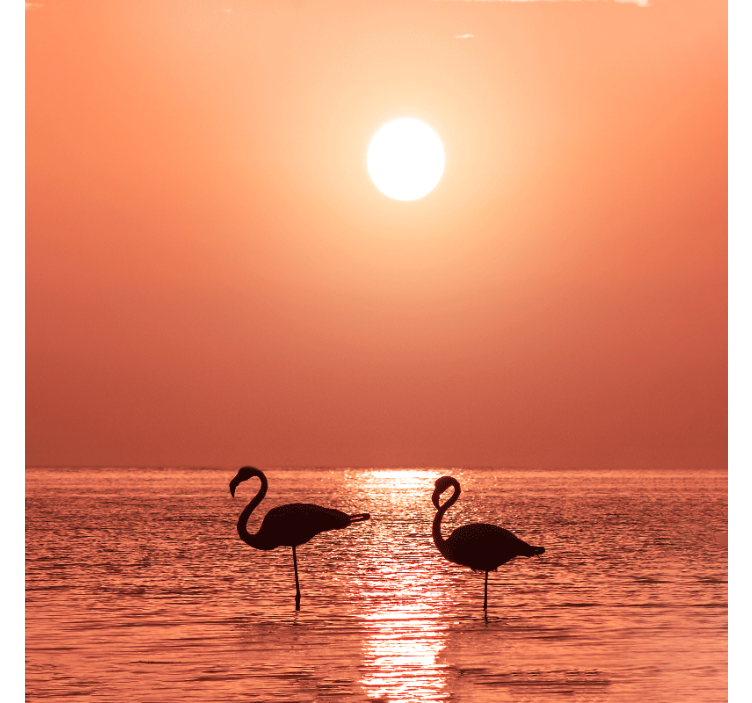 Rollo wohnzimmer schöner flamingo mit sonnenuntergang - TenStickers