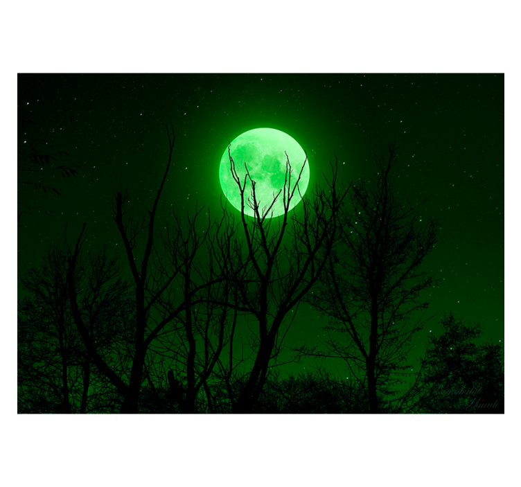 Rollo fenster schwarz grüner mond - TenStickers