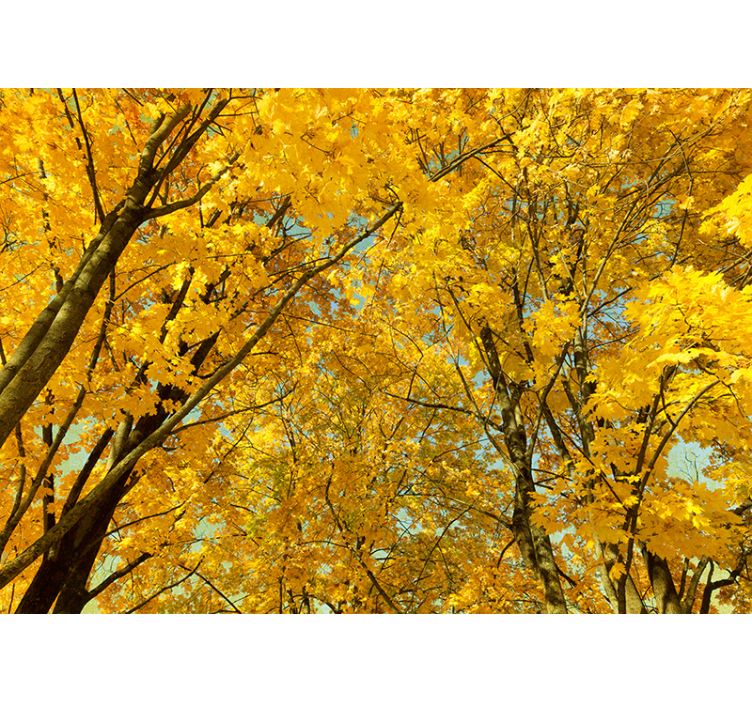 Rollo fenster gelb mit gelben herbstblättern - TenStickers