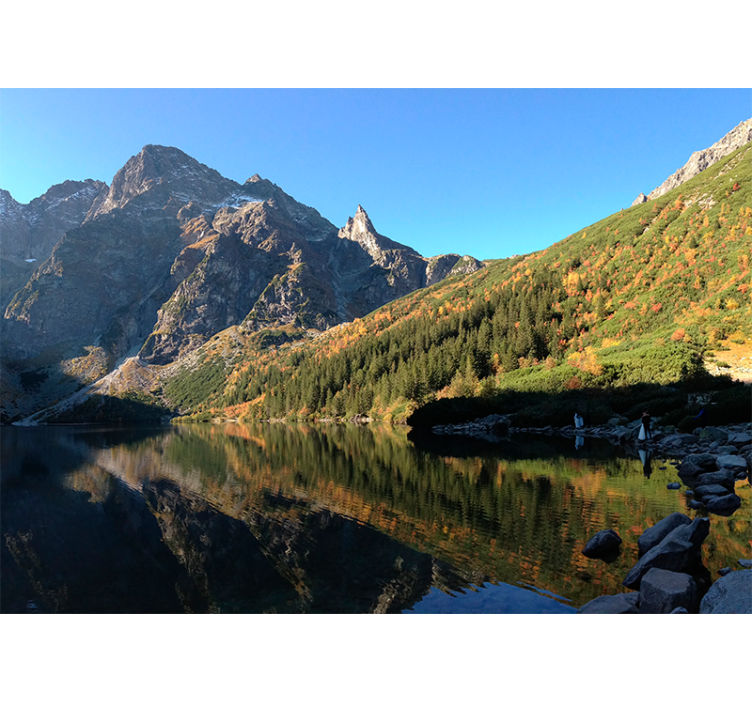 Rollo fenster grün morskie oko im frühling - TenStickers