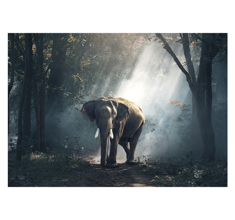 Rollo wohnzimmer elefant im wald - TenStickers