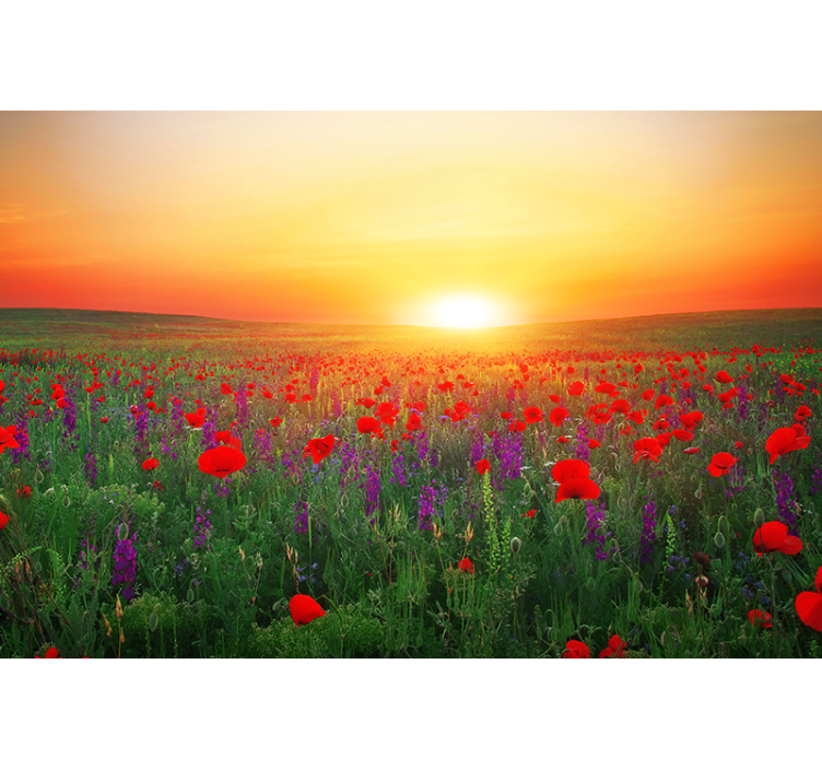 Rollo wohnzimmer feld roter mohnblumen mit sonne - TenStickers