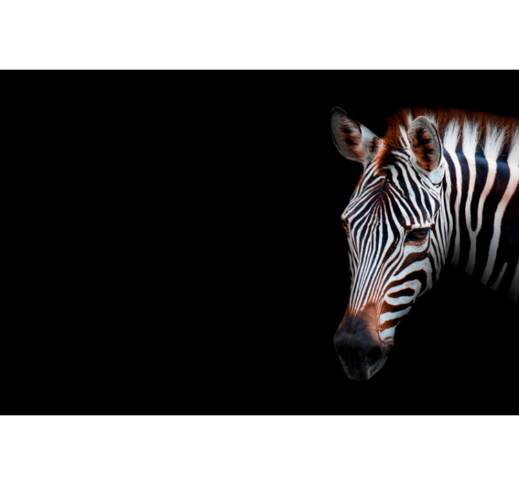 Rollo wohnzimmer zebra muster - TenStickers