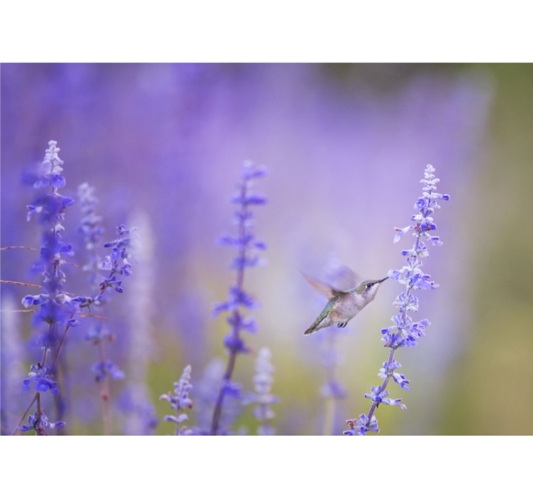 Rollo wohnzimmer blumen mit vogel - TenStickers