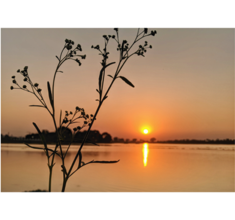 Rollo wohnzimmer sonnenuntergang am see - TenStickers