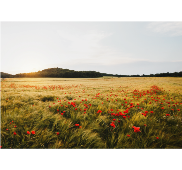 Rollo wohnzimmer mondfeld bei sonnenuntergang - TenStickers