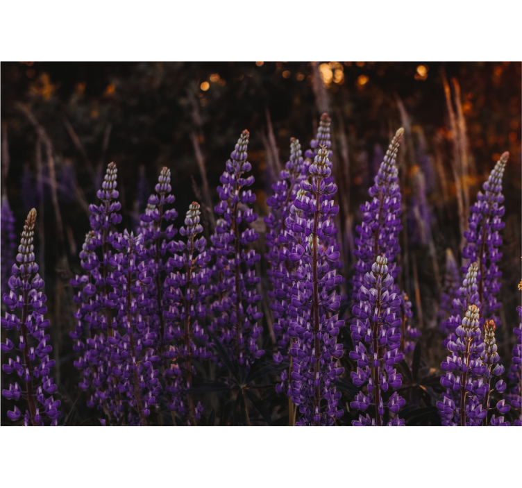 Rollo wohnzimmer wald erblüht von violetten blumen - TenStickers