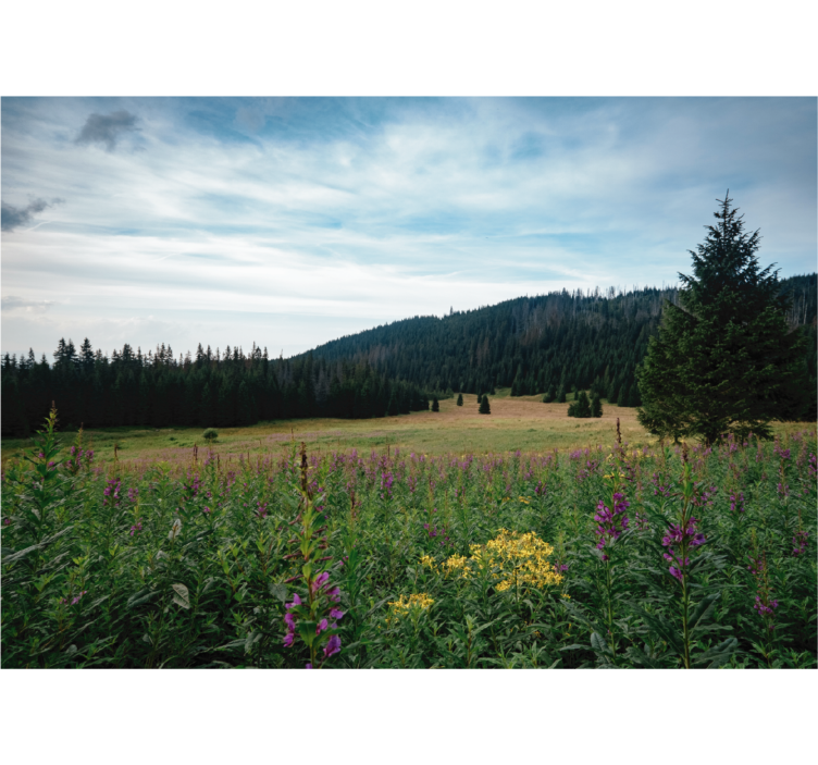 Rollo wohnzimmer tatra park im frühling - TenStickers
