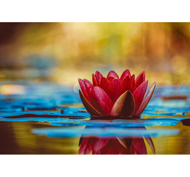 Rollo wohnzimmer zen reflektierte lotusblume - TenStickers