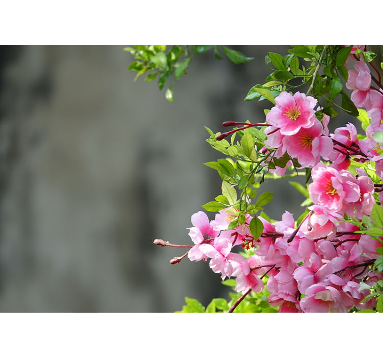 Rollo wohnzimmer mit 3d pinken blumen - TenStickers