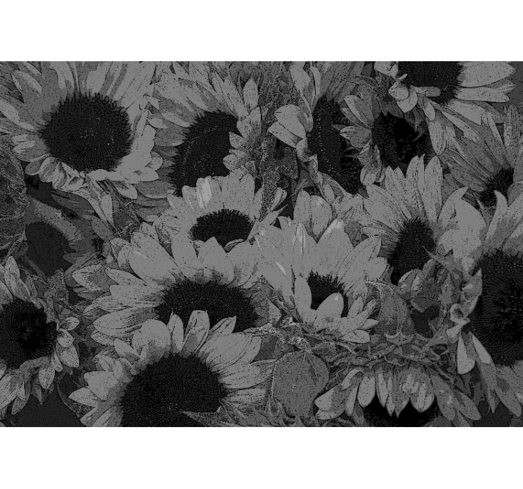 Rollo wohnzimmer sonnenblume schwarz weiß - TenStickers