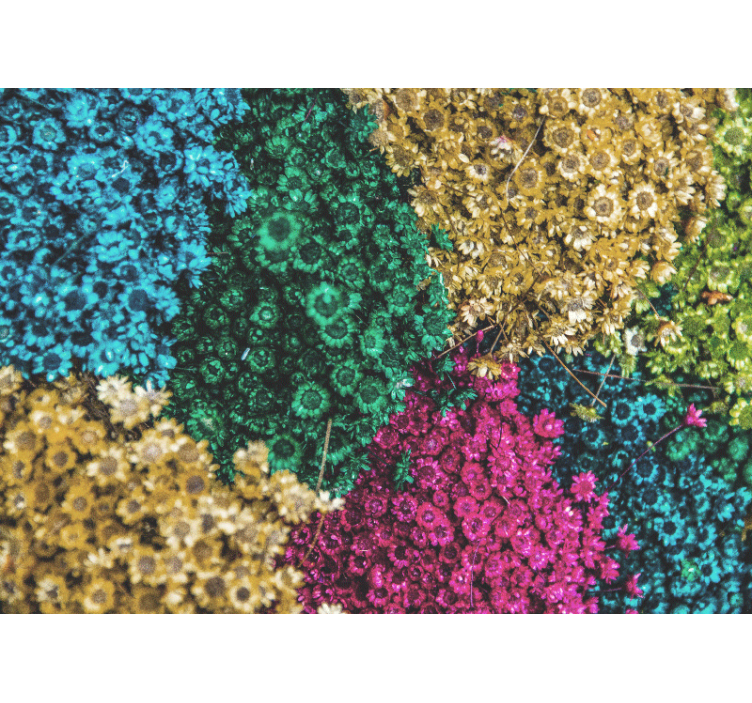 Rollo wohnzimmer mit regenbogen-gänseblümchen - TenStickers
