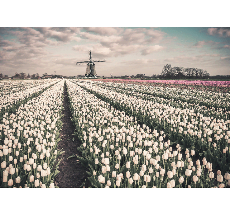 Rollo wohnzimmer tulpenfeld mit windmühle - TenStickers