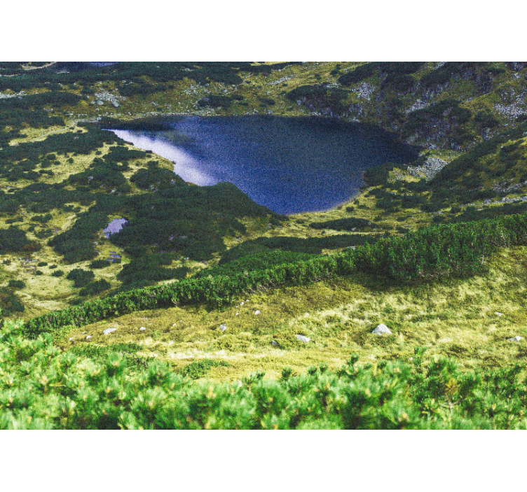 Rollo wohnzimmer in grün polnische tatra - TenStickers