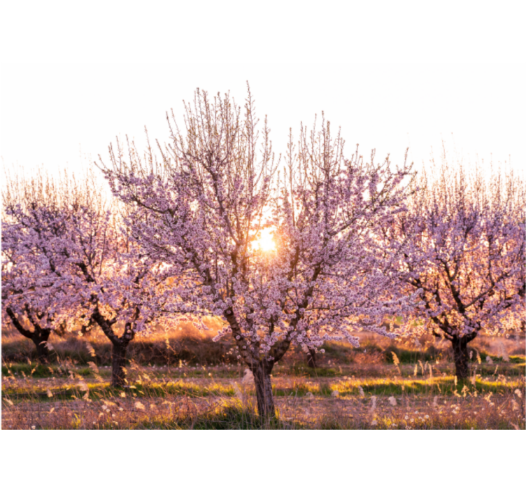 Rollo wohnzimmer pinkes landschaftsbild mit blumen - TenStickers