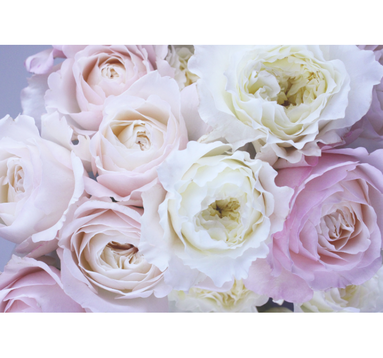 Rollo wohnzimmer verschiedene rosen nahaufnahme - TenStickers