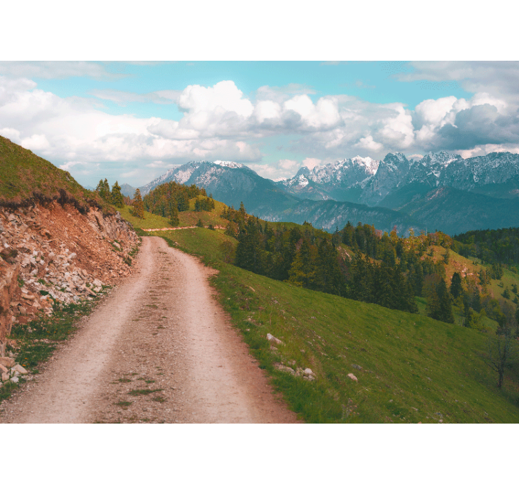 Rollo wohnzimmer spaziergang im wald - TenStickers