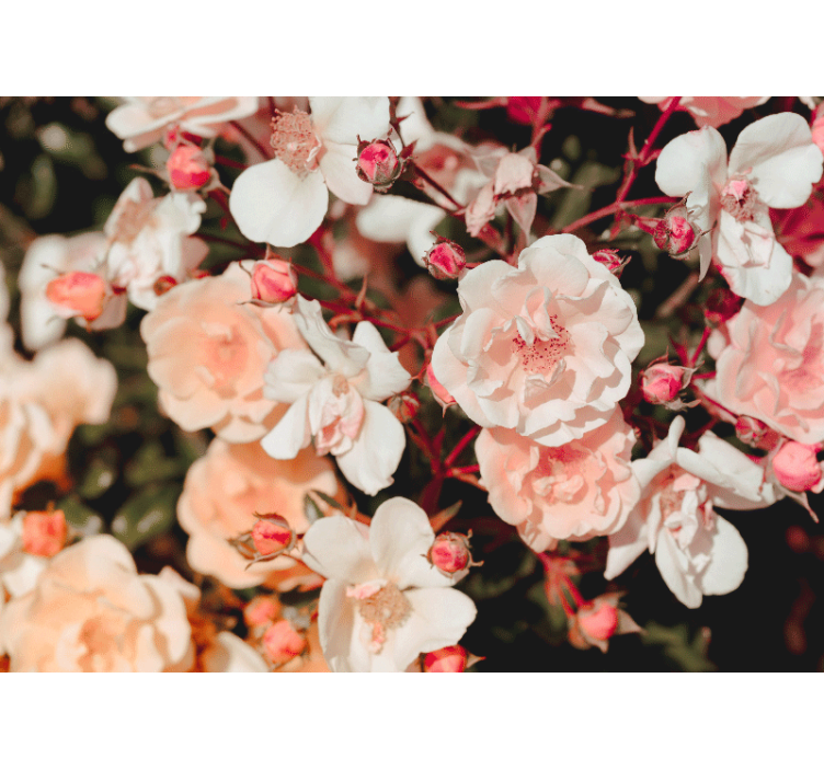 Rollo wohnzimmer mit vielen blumen - TenStickers