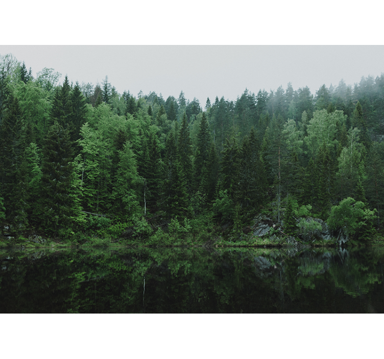 Rollo wohnzimmer ein wald am see - TenStickers