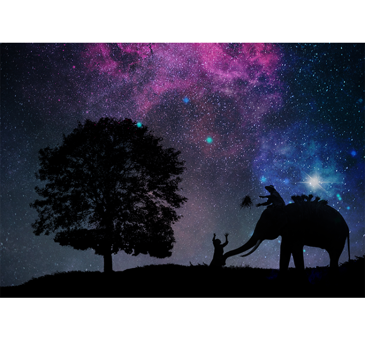 Rollo wohnzimmer elefant unter sternenhimmel - TenStickers