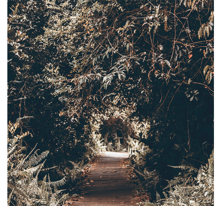 Rollo wohnzimmer naturtunnel zum wald - TenStickers