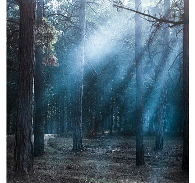 Rollo wohnzimmer natur dämmerung im wald - TenStickers