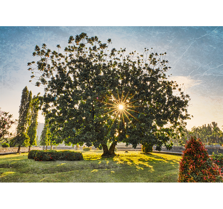 Rollo wohnzimmer sonniger sommergrüner park - TenStickers