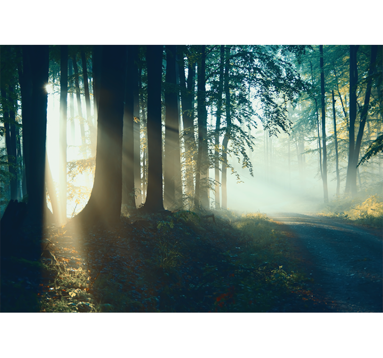 Rollo wohnzimmer schöner winterwald ohne blätter - TenStickers