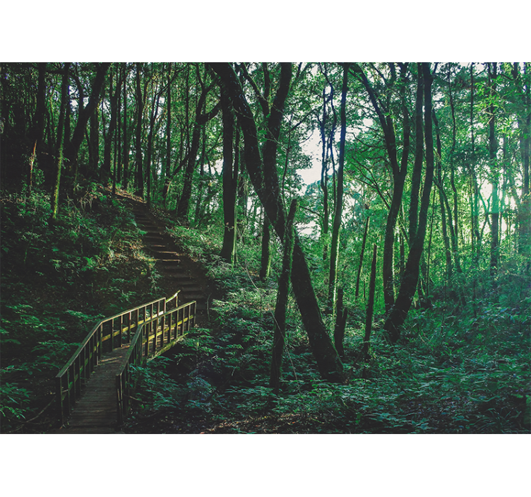 Rollo wohnzimmer schönes grünes baumlandschaft - TenStickers